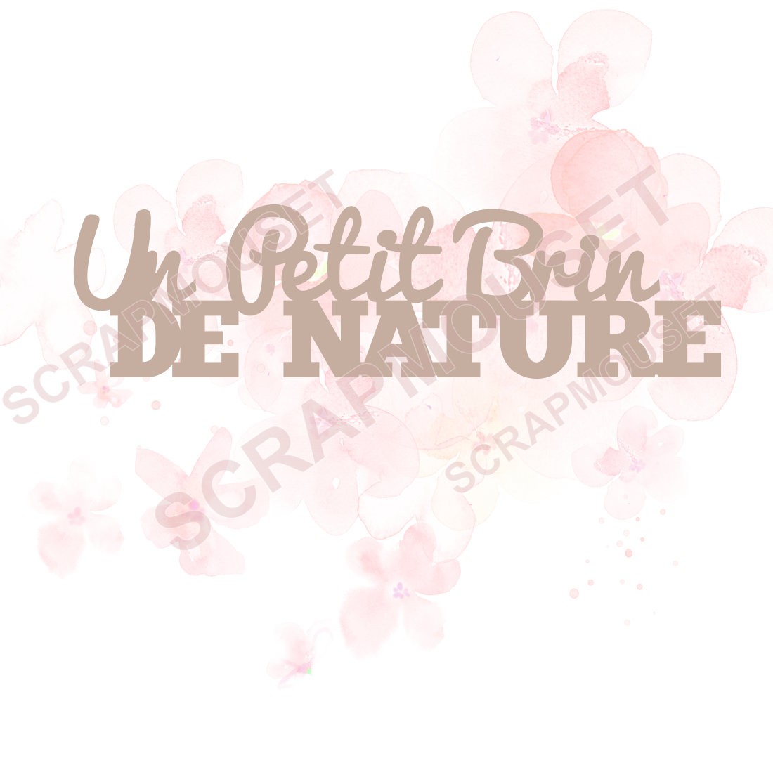 Mot Un petit brin de nature en carton bois SCRAPMOUSET