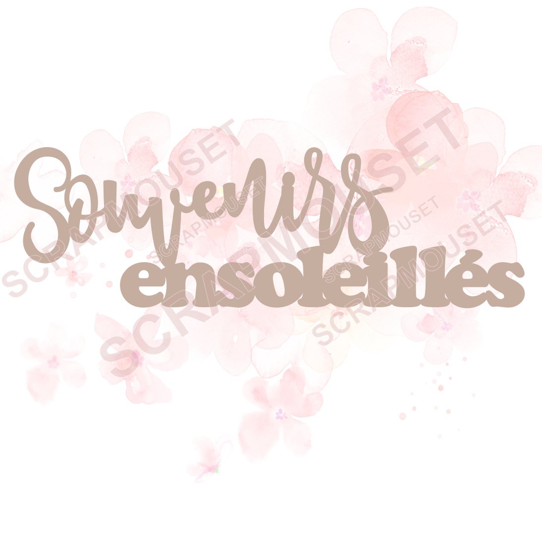 Mot Souvenirs ensoleillés en carton bois SCRAPMOUSET