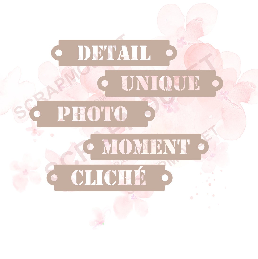 Ensemble de 5 étiquettes sur le thème de la PHOTO en carton bois SCRAPMOUSET
