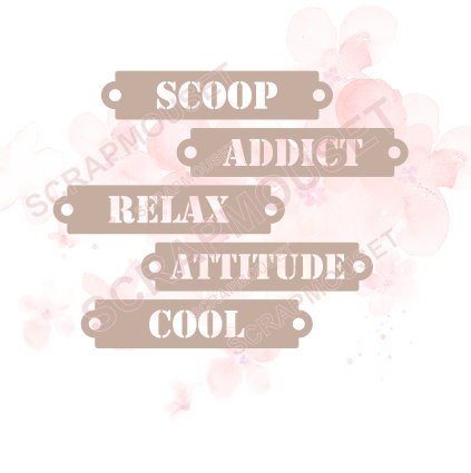 Ensemble de 5 étiquettes thème ATTITUDE en carton bois SCRAPMOUSET