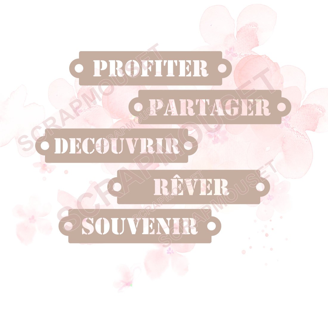 Ensemble de 5 étiquettes sur le thème de la DECOUVERTE en carton bois SCRAPMOUSET