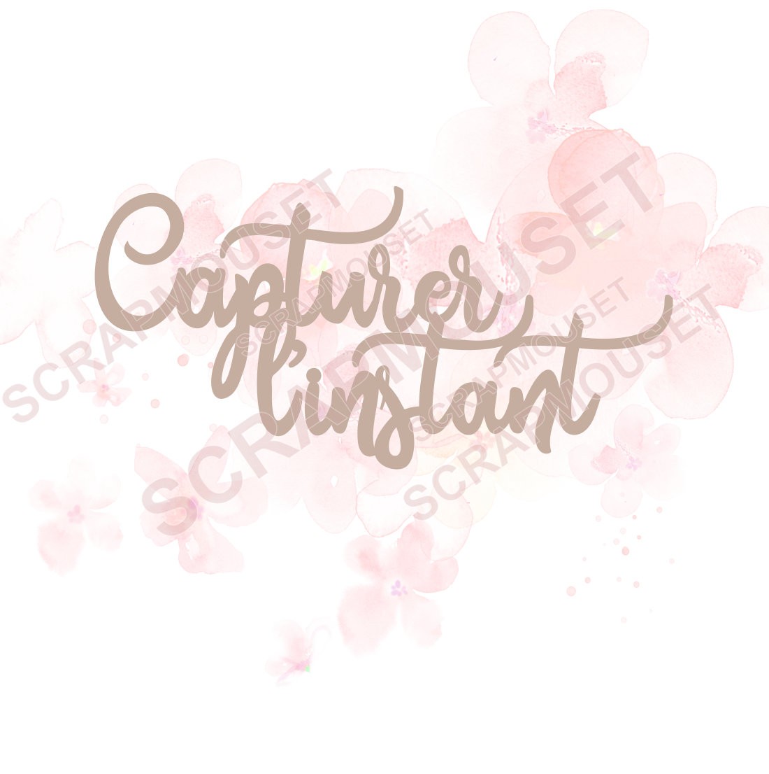 Mot Capturer l'instant en carton bois SCRAPMOUSET