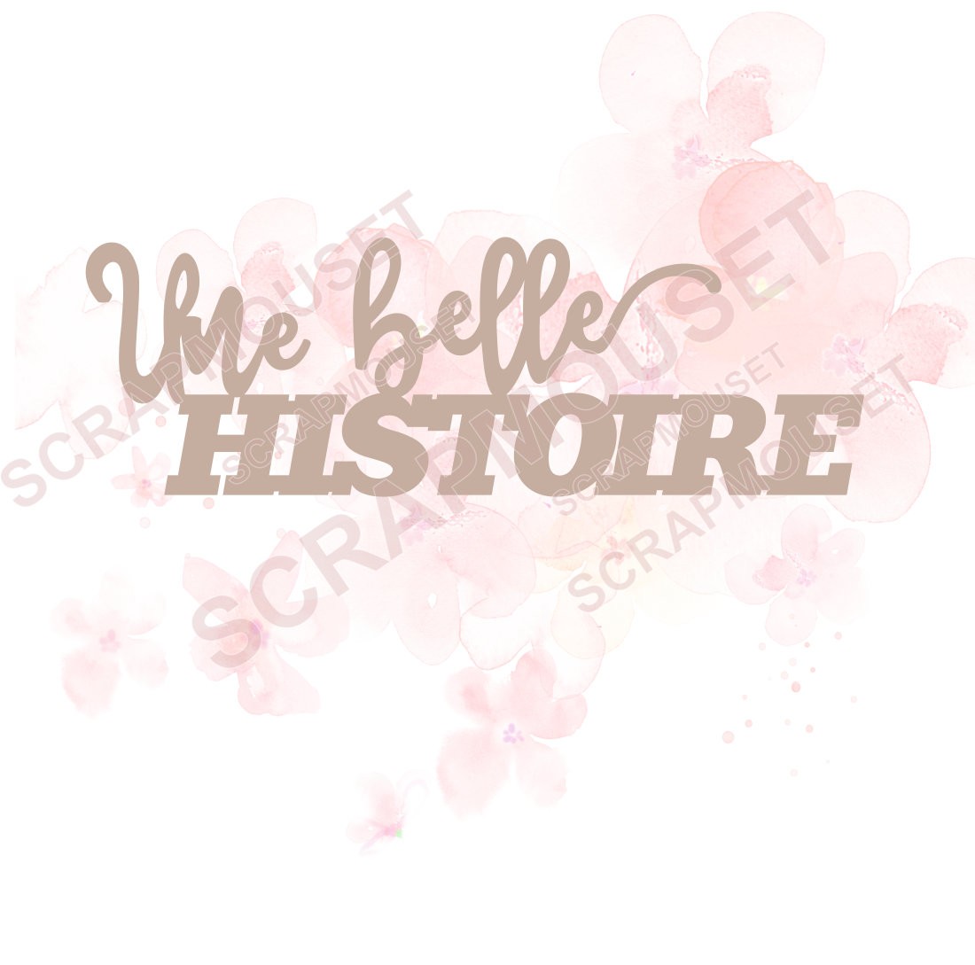 Mot Une belle histoire en carton bois SCRAPMOUSET
