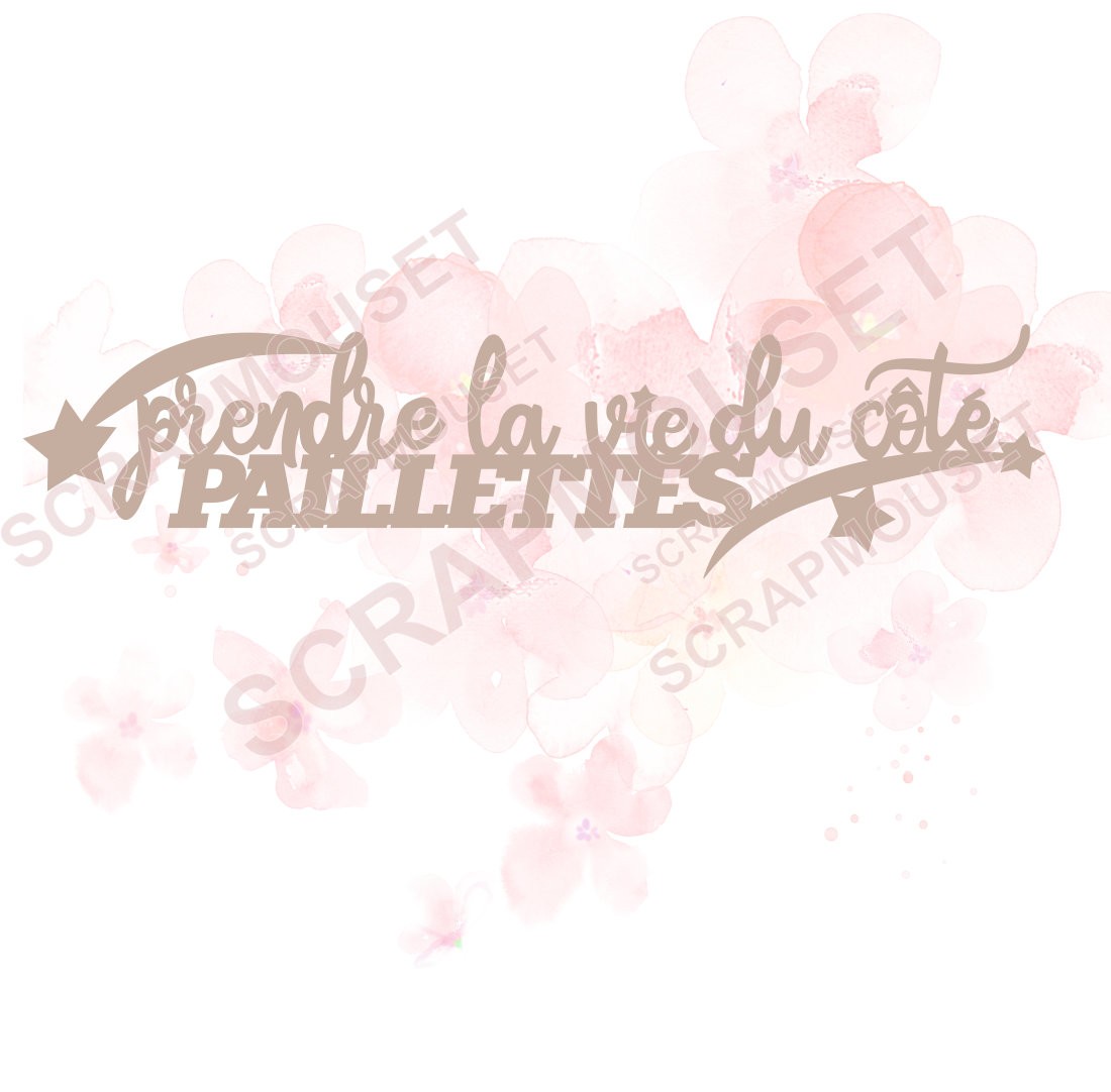 Mot Prendre la vie du côté paillettes en carton bois SCRAPMOUSET