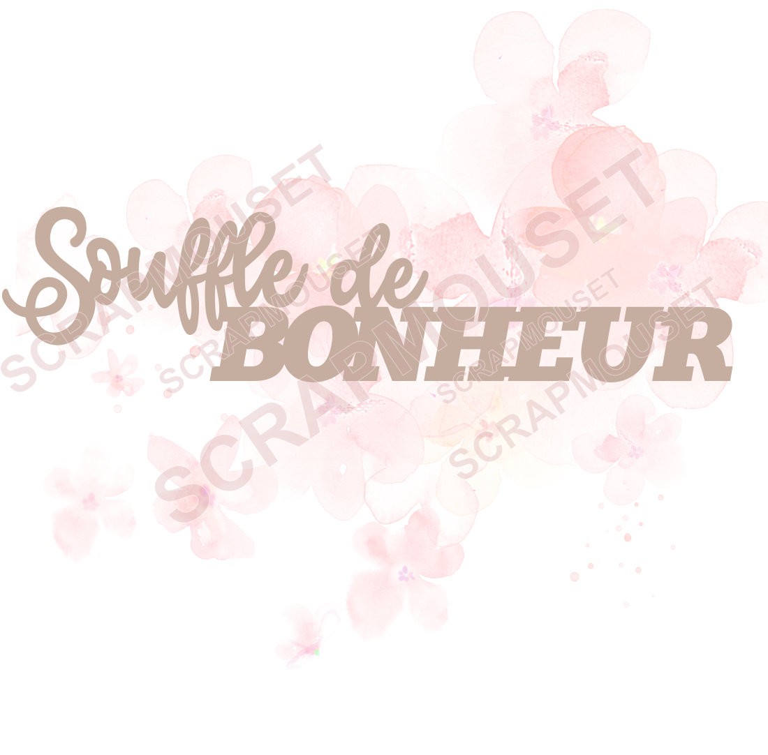 Mot Souffle de bonheur en carton bois SCRAPMOUSET