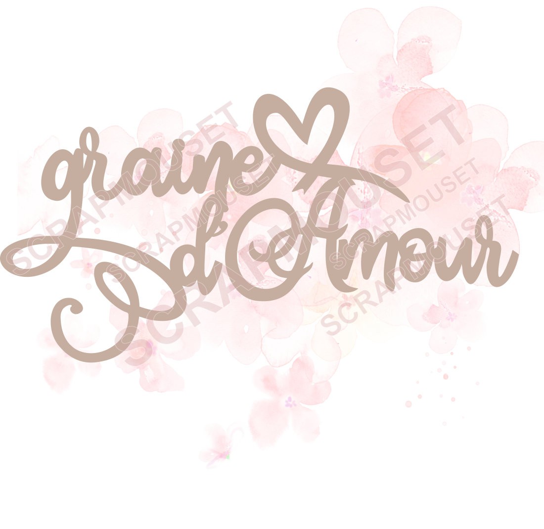 Mot Graine d'amour en carton bois SCRAPMOUSET