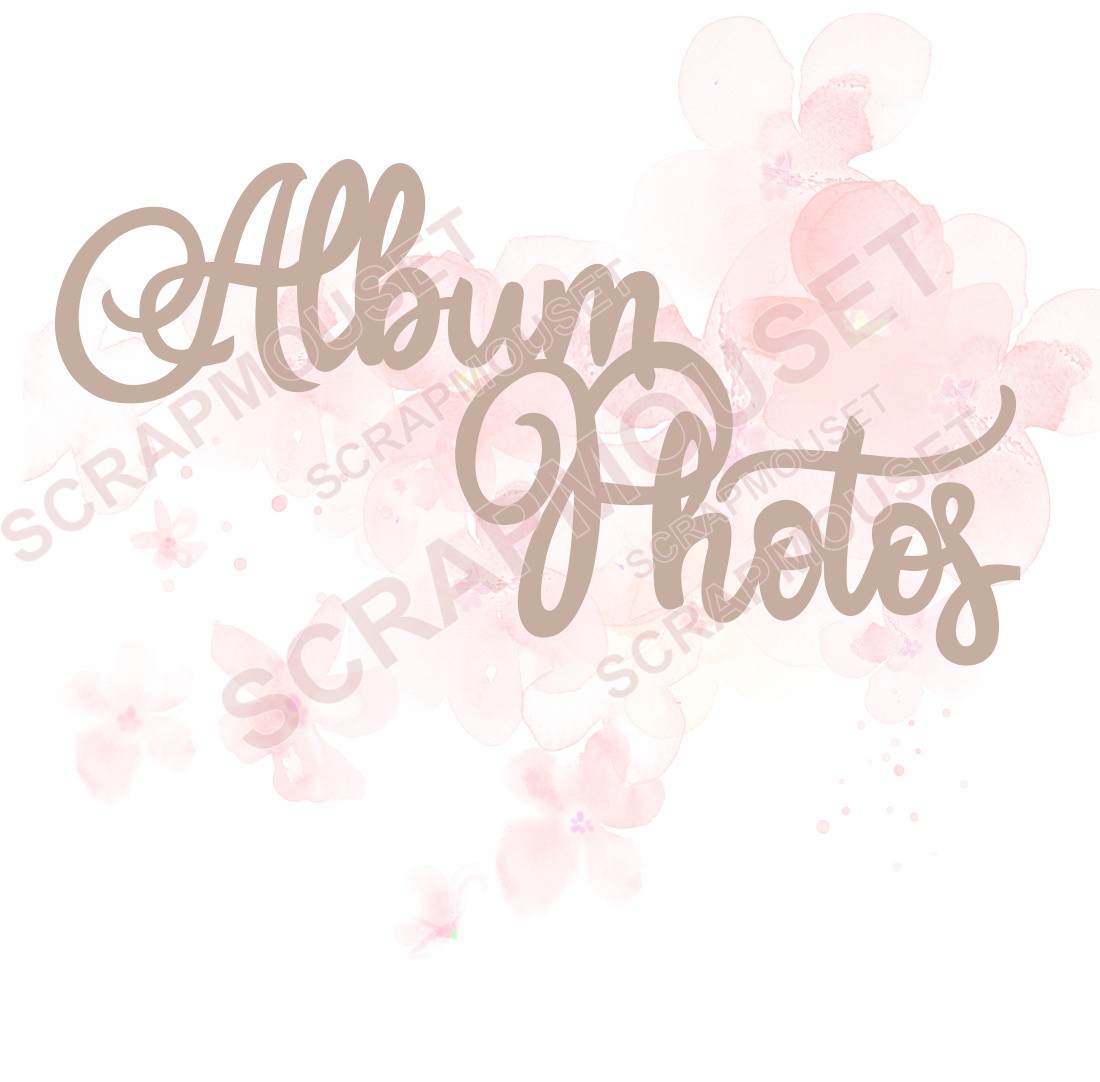 Mot Album photos design en carton bois SCRAPMOUSET