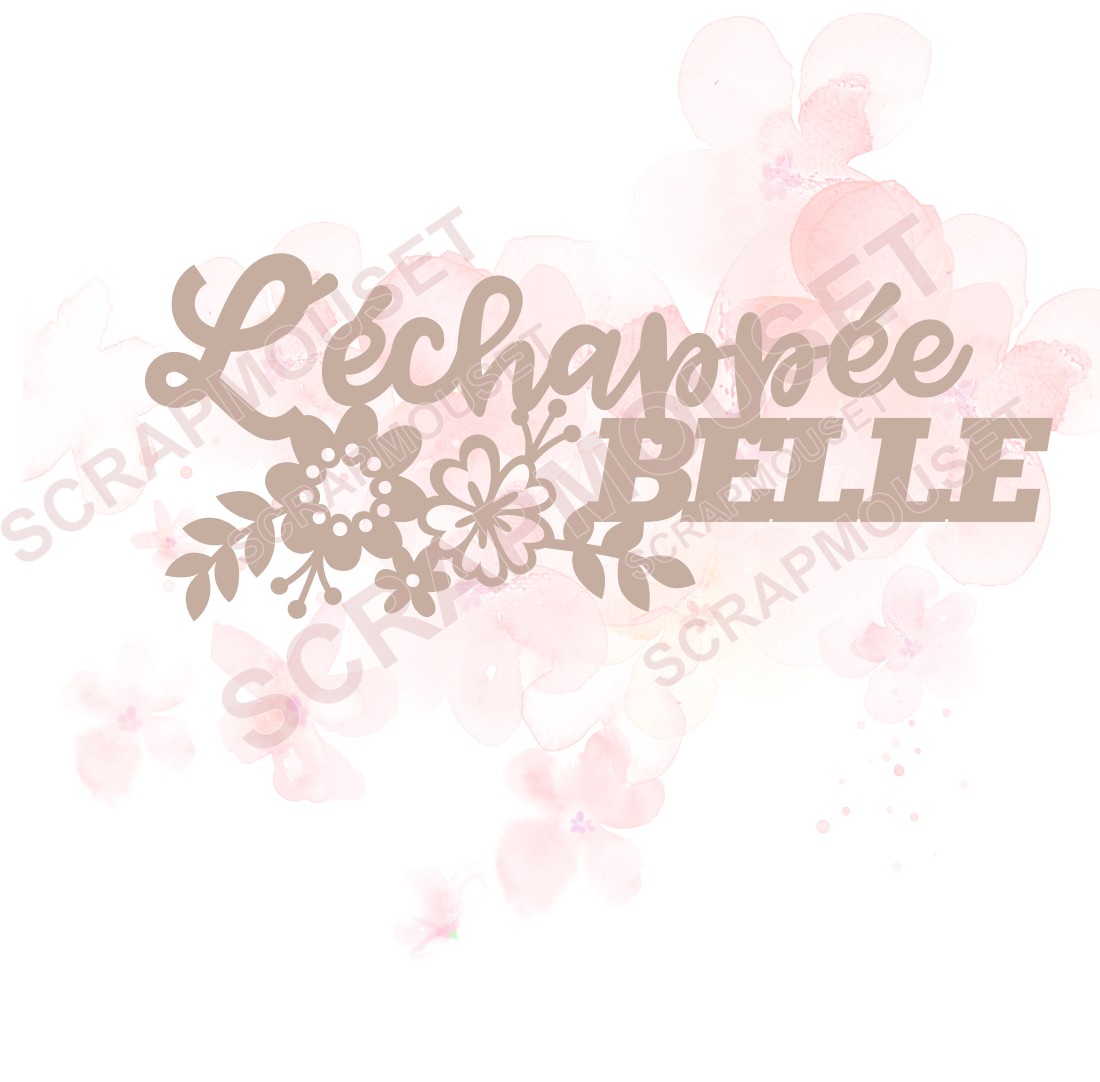 Mot L'échappée belle en carton bois SCRAPMOUSET