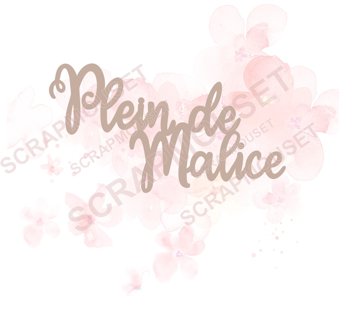 Mot Plein de malice en carton bois SCRAPMOUSET