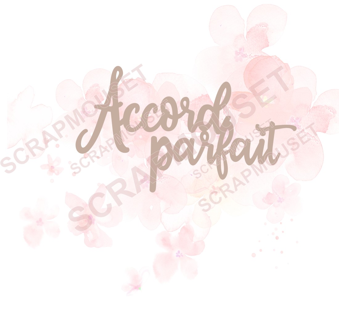 Mot Accord parfait en carton bois SCRAPMOUSET