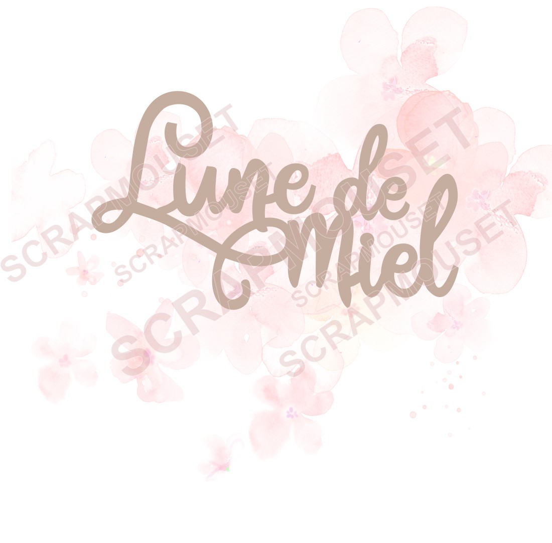 Mot Lune de miel en carton bois SCRAPMOUSET