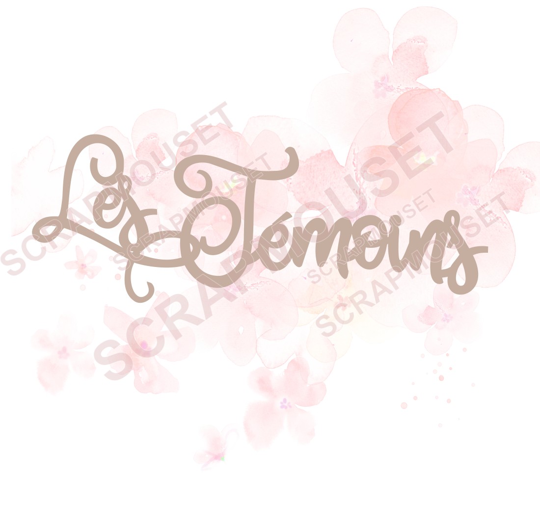 Mot Les témoins en carton bois SCRAPMOUSET