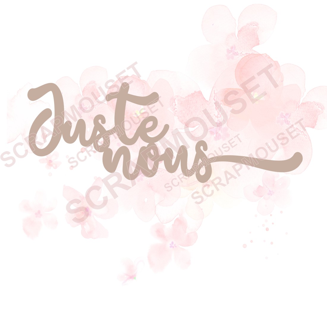 Mot Juste nous en carton bois SCRAPMOUSET