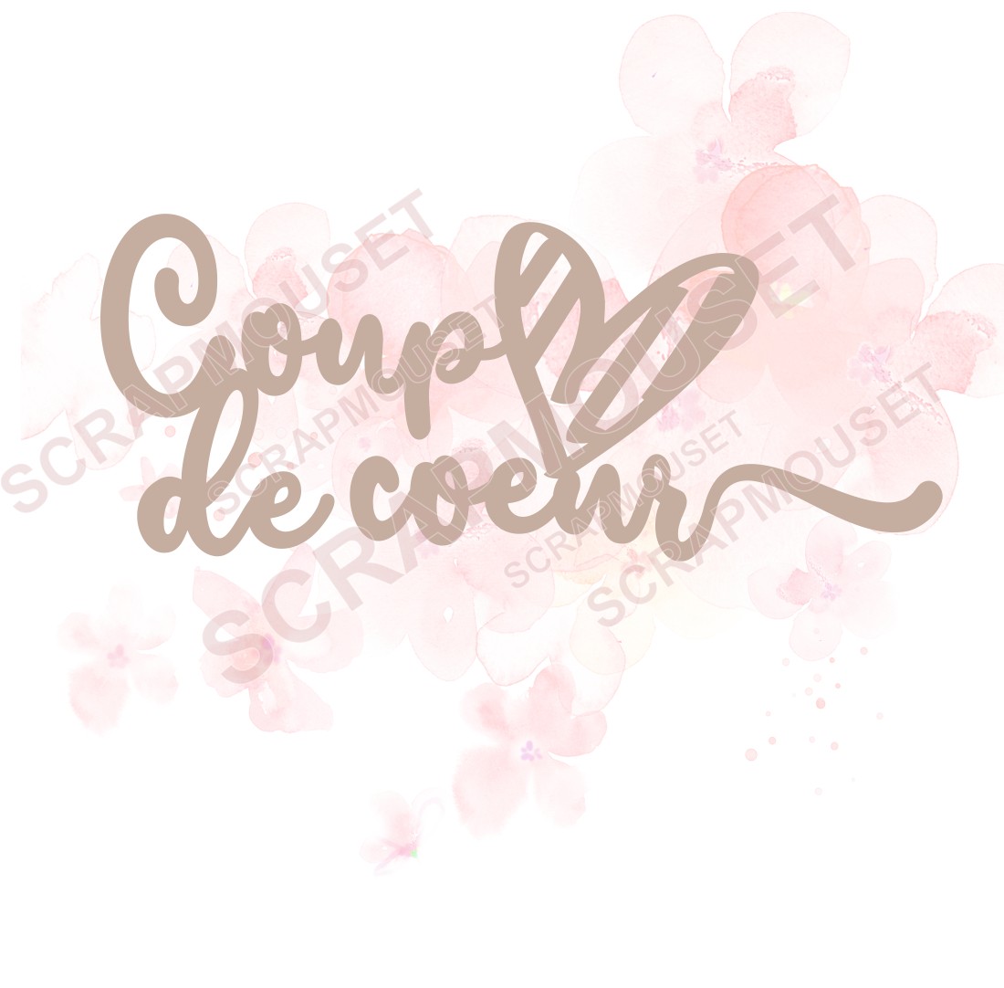 Mot Coup de coeur en carton bois SCRAPMOUSET