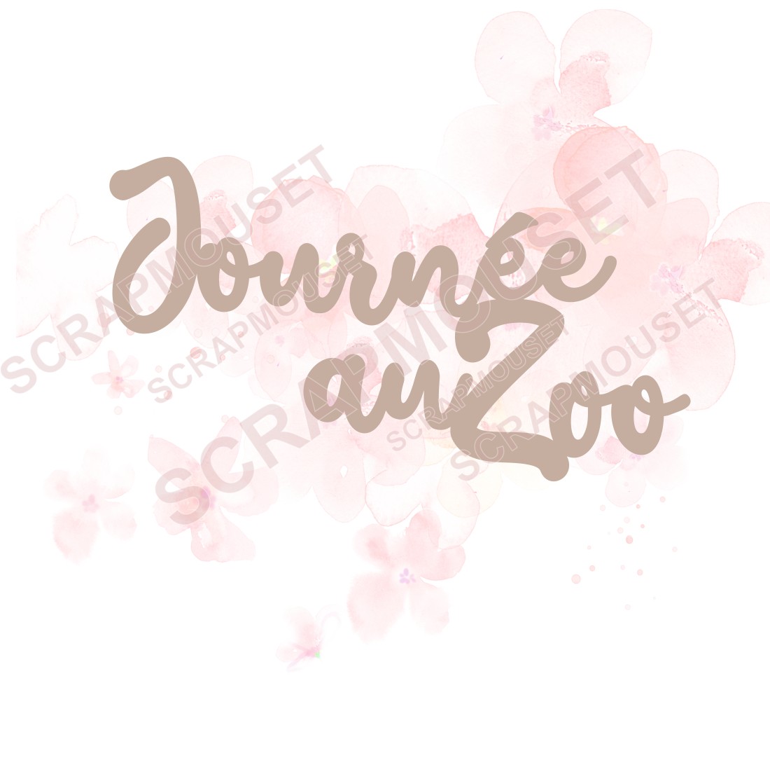 Mot Journée au zoo en carton bois SCRAPMOUSET