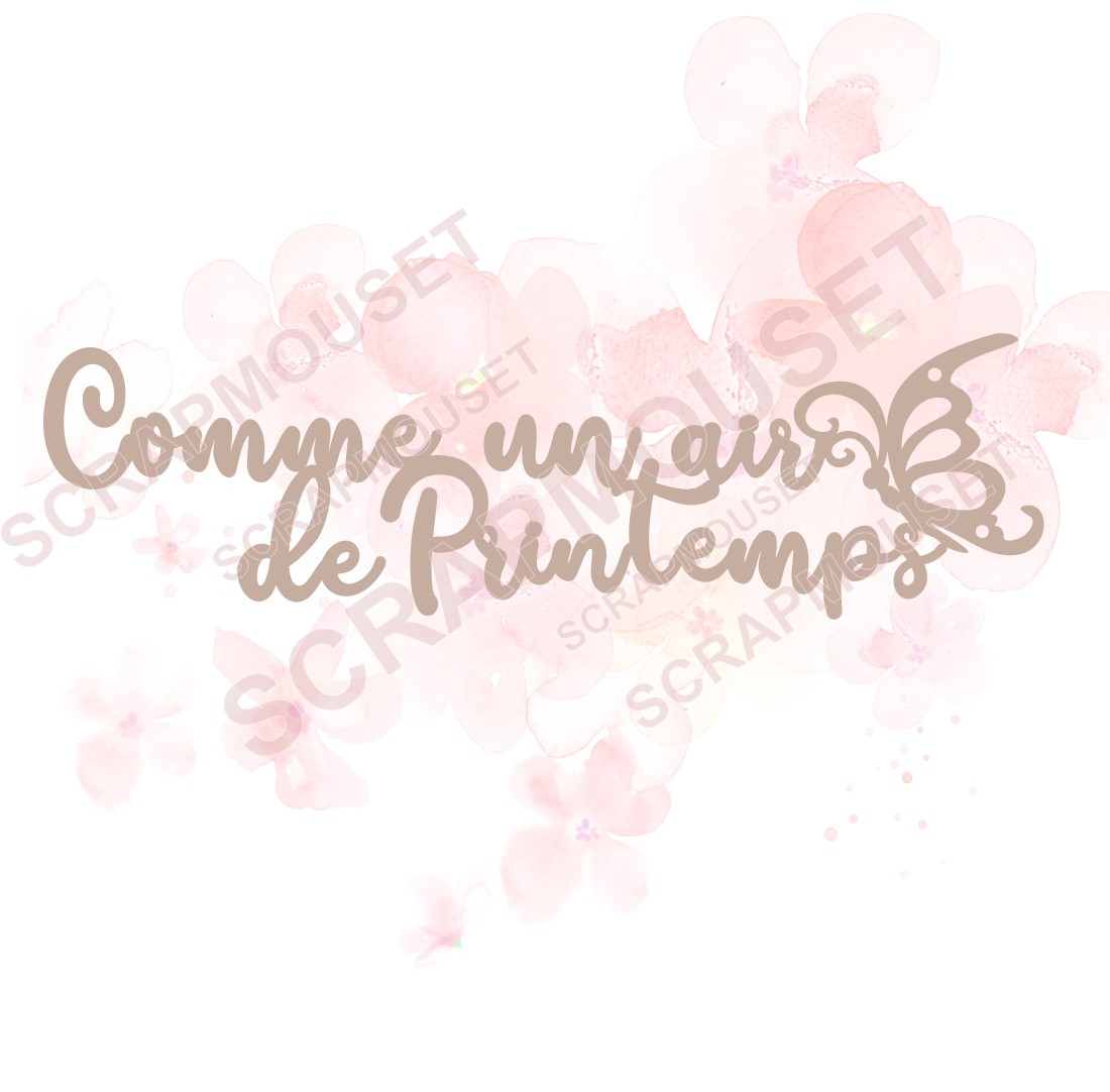 Mot Comme un air de printemps en carton bois SCRAPMOUSET
