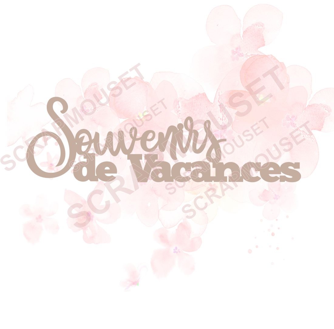 Mot Souvenirs de vacances en carton bois SCRAPMOUSET