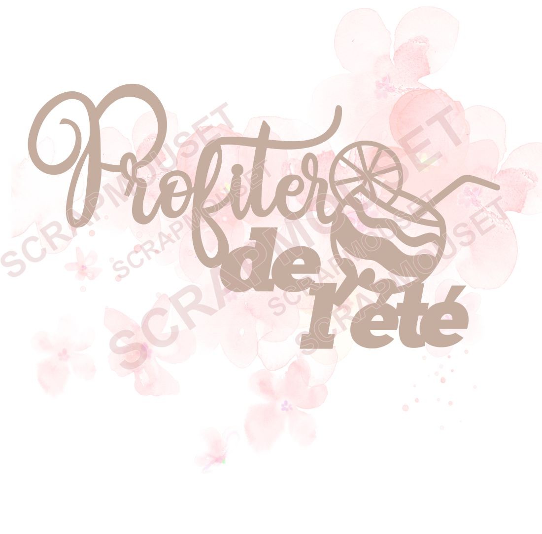 Mot Profiter de l'été en carton bois SCRAPMOUSET