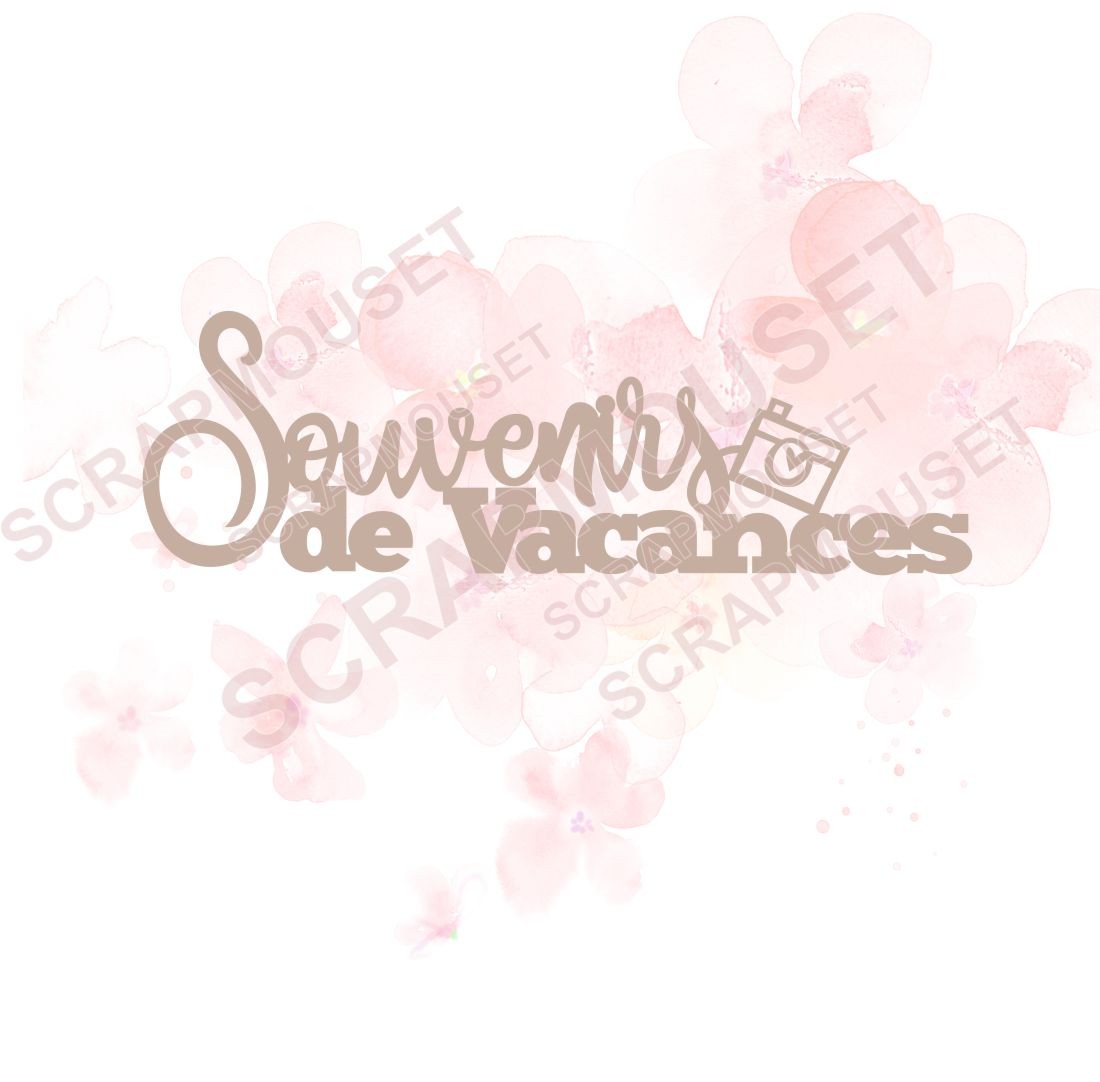 Mot Souvenirs de vacances (avec appareil photo) en carton bois SCRAPMOUSET