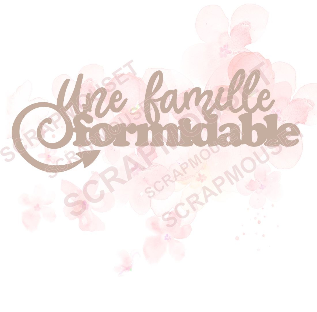 Mot Une famille formidable en carton bois SCRAPMOUSET