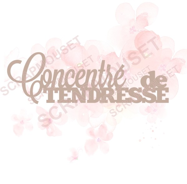 Mot Concentré de tendresse en carton bois SCRAPMOUSET