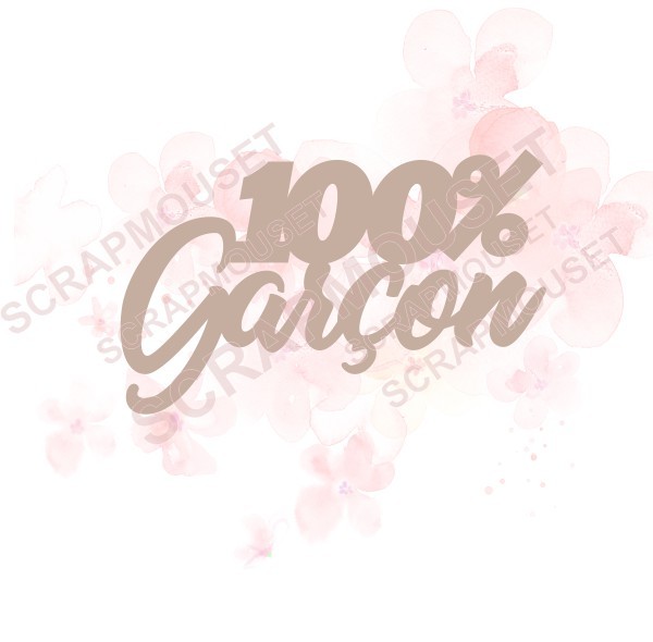Mot 100% garçon en carton bois SCRAPMOUSET