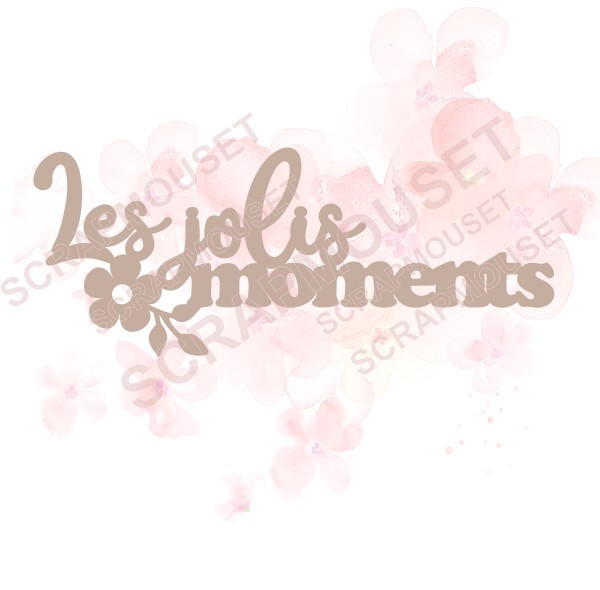 Mot Les jolis moments en carton bois SCRAPMOUSET