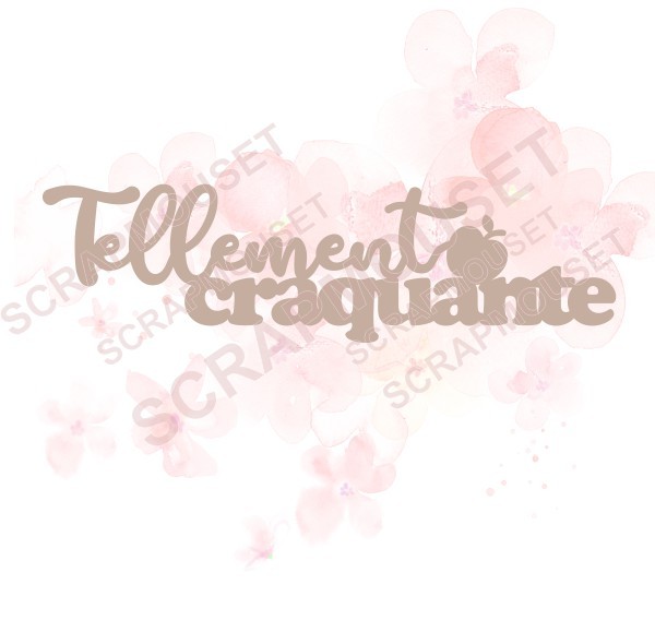 Mot Tellement craquante en carton bois SCRAPMOUSET