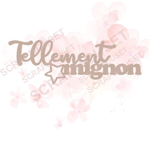 Mot Tellement mignon avec étoile en carton bois SCRAPMOUSET