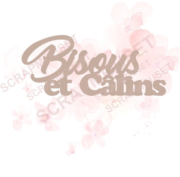 Mot Bisous et câlins en carton bois