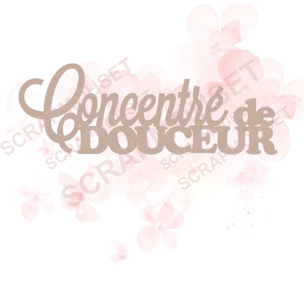 Mot concentré de douceur en carton bois SCRAPMOUSET