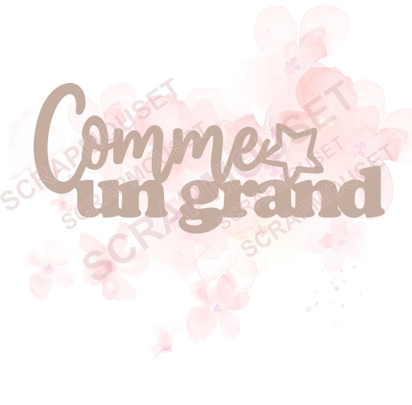 Mot Comme un grand (avec petite étoile) en carton bois SCRAPMOUSET