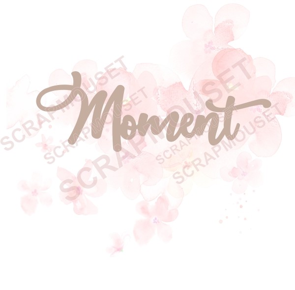 Mot Moment en carton bois SCRAPMOUSET