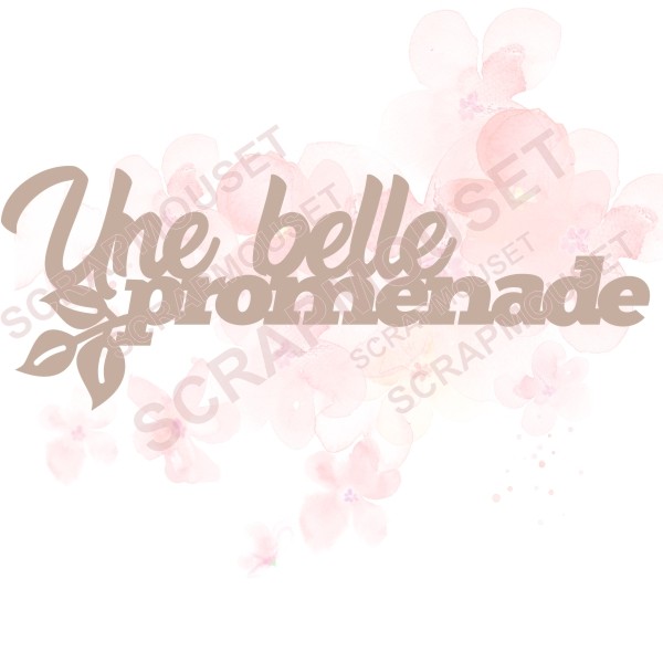 Mot Une belle promenade en carton bois SCRAPMOUSET