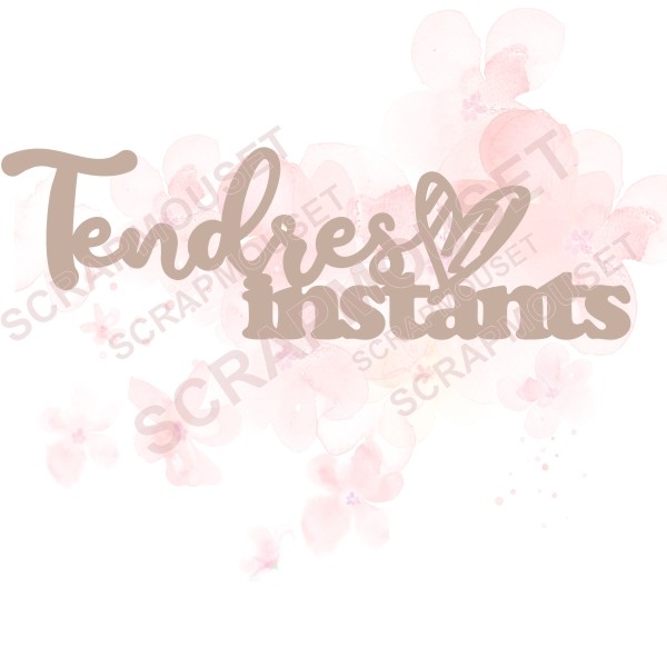 Mot Tendres instants en carton bois SCRAPMOUSET