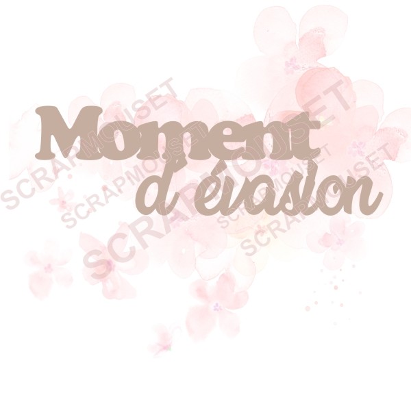 Mot Moment d'évasion en carton bois SCRAPMOUSET