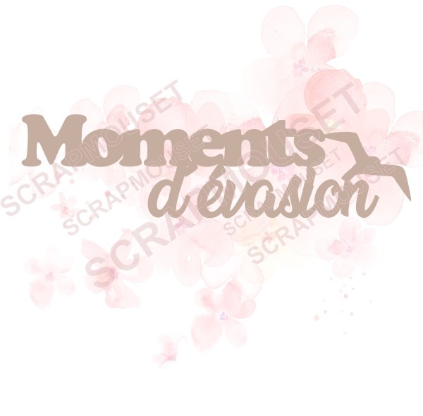 Mot Moments d'évasion avec mouette en carton bois SCRAPMOUSET