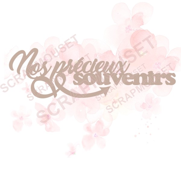 Mot Nos précieux souvenirs en carton bois SCRAPMOUSET