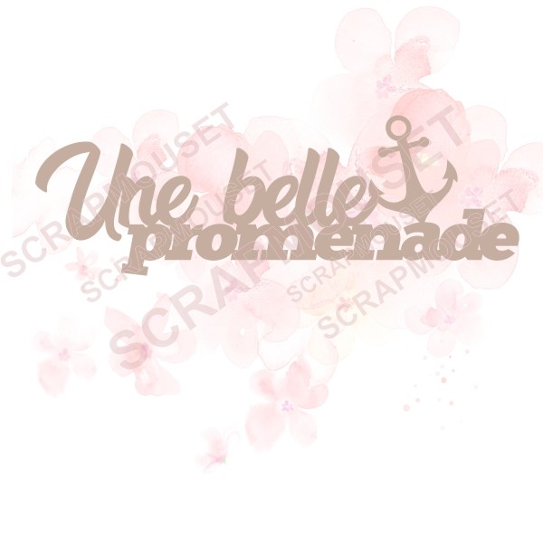 Mot Une belle promenade avec ancre marine en carton bois SCRAPMOUSET