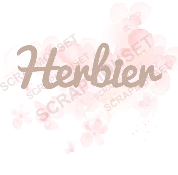 Mot Herbier en carton bois SCRAPMOUSET