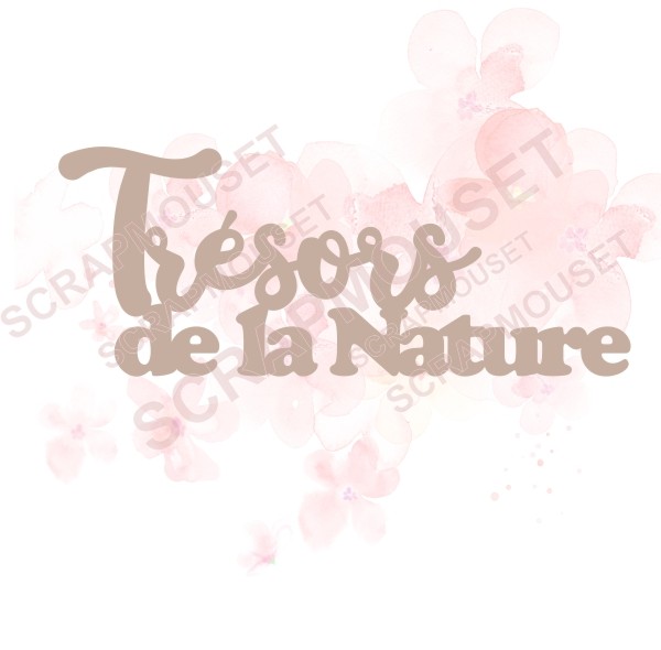 Mot Trésors de la Nature en carton bois