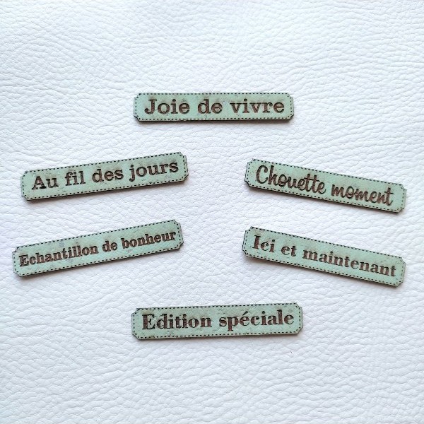 Lot 6 étiquettes thème Moments en liège couleur vert d'eau SCRAPMOUSET