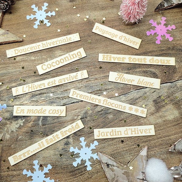 Lot de 10 étiquettes sur la thématique de l'hiver en carton bois SCRAPMOUSET