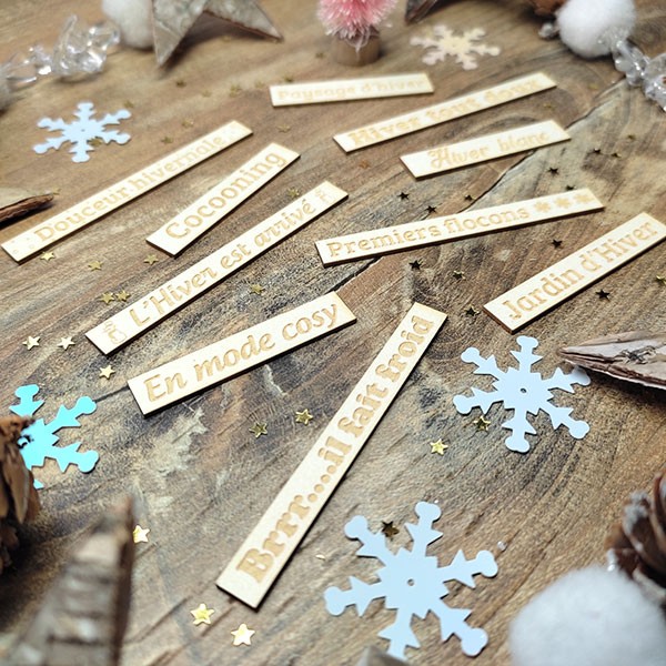 Lot de 10 étiquettes sur la thématique de l'hiver en carton bois SCRAPMOUSET