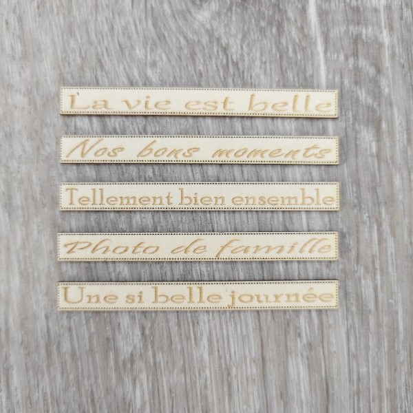 Les petites phrases Thème Ensemble Spécial carterie SCRAPMOUSET