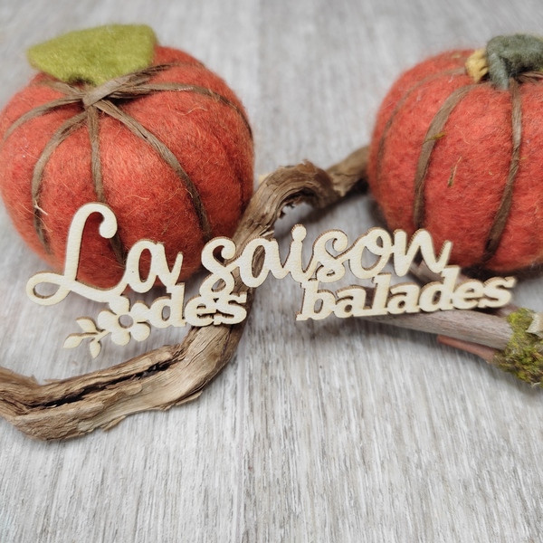 Mot La saison des balades en carton bois SCRAPMOUSET
