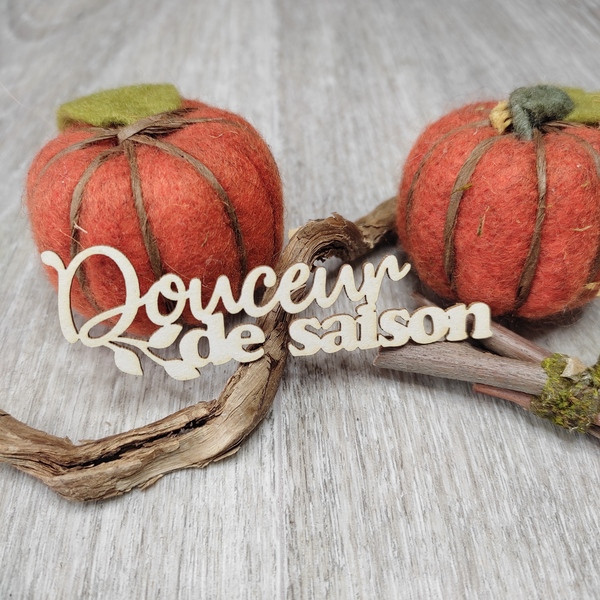 Mot Douceur de saison avec feuillage en carton bois SCRAPMOUSET