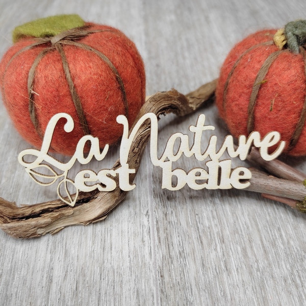 Mot La nature est belle avec feuillage en carton bois SCRAPMOUSET