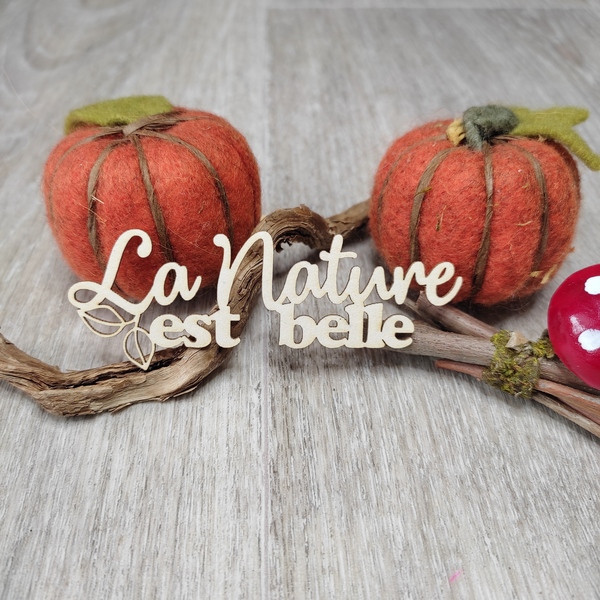 Mot La nature est belle avec feuillage en carton bois SCRAPMOUSET