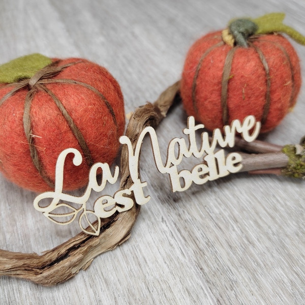 Mot La nature est belle avec feuillage en carton bois SCRAPMOUSET